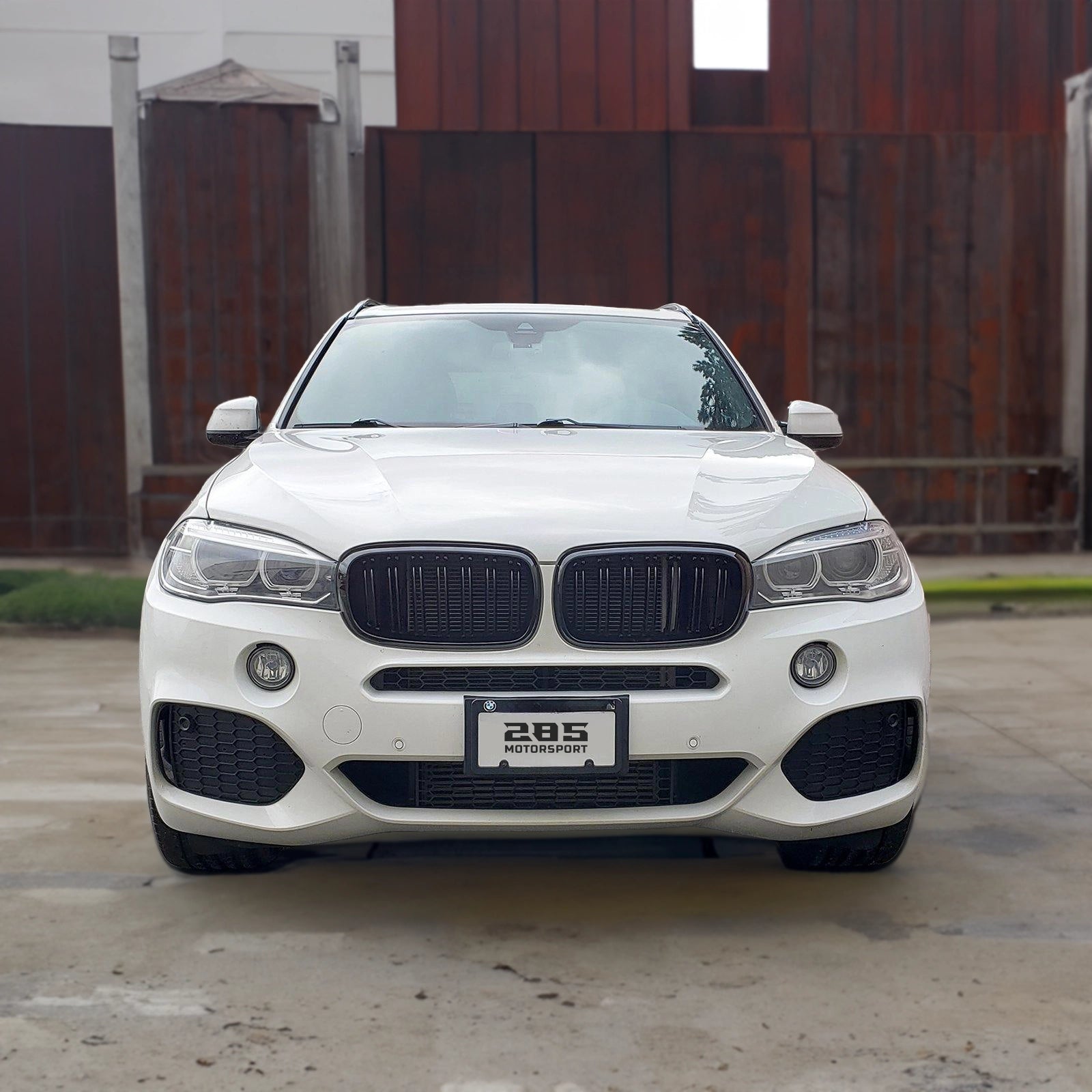 Kidney Style Front Grille - 2014-2018 BMW X5 F15
