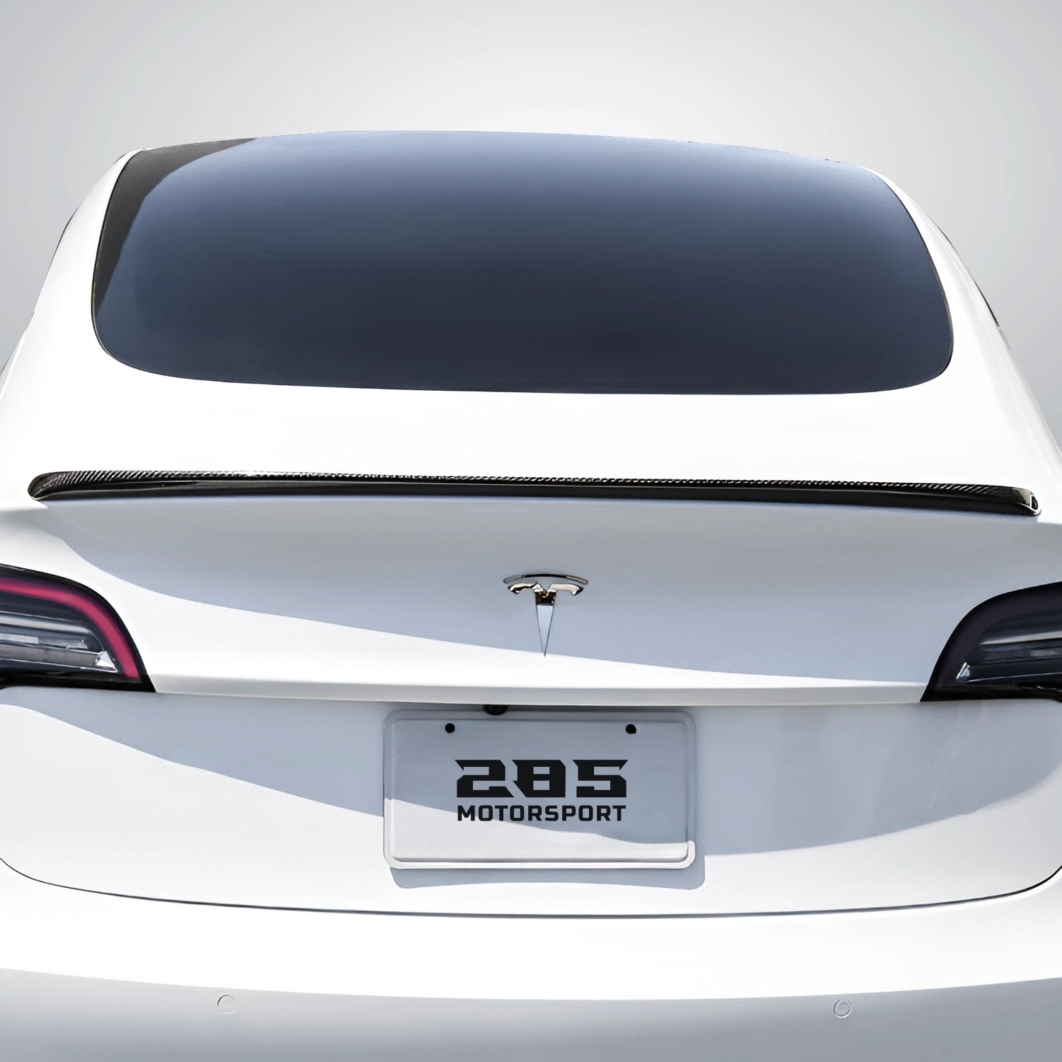 2017-2024 Tesla Model 3 - OEM Style Rear Trunk Spoiler